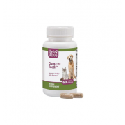PetAlive Gumz-n-Teeth 促進牙齒及口腔健康 60粒（貓狗食用）